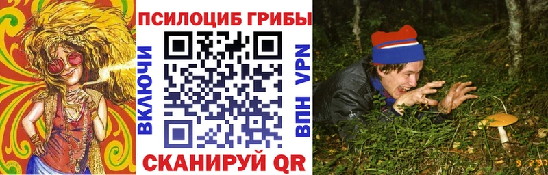 купить наркотики сайты  Отрадное  дарк нет состав  Галлюциногенные грибы мицелий 